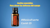 On Guard Doterra 3 En 1 Eleva Tus Defensas